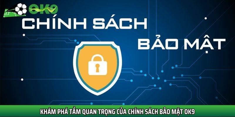 Khám phá tầm quan trọng của chính sách bảo mật Ok9