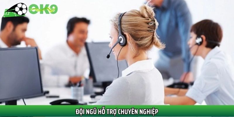 Đội ngũ hỗ trợ chuyên nghiệp